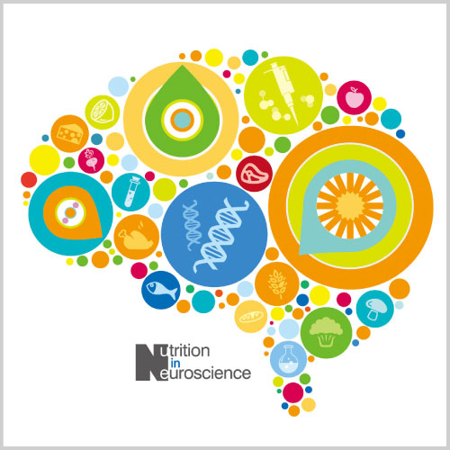 用醣皮質素調節海馬迴穀氨酸機制探究壓力反應的個體差異