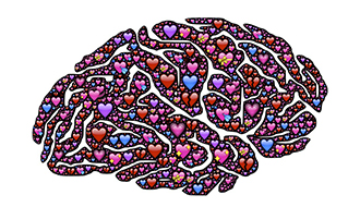 「第一屆心與腦聯合會議」