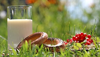 讓乳酸菌減輕你一天的煩惱吧!