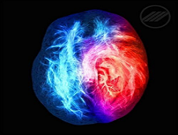 當神經科醫師遇上精神科醫師，一場解謎大腦疾病的跨界對話！