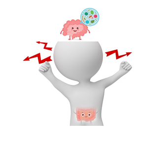 【你知道肚子的腸道菌，也會影響你我的情緒】