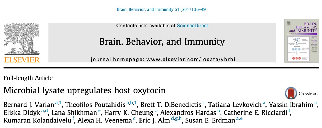 當腸腦軸遇見皮膚：認識「腸腦皮膚軸」